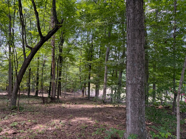 Tract 1 at Wolf Hill Estates property photo