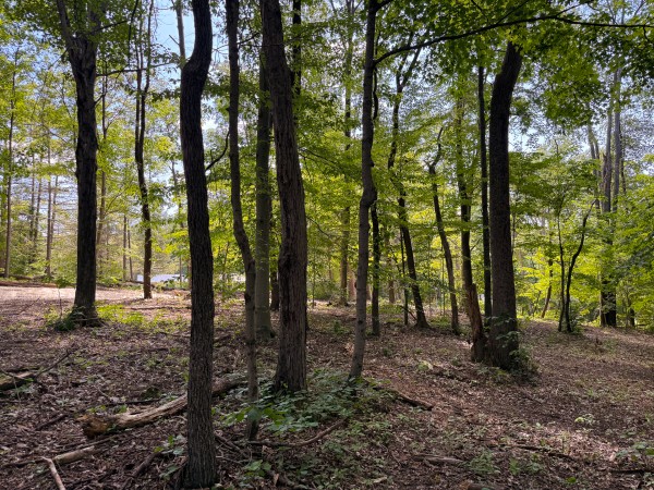 Tract 1 at Wolf Hill Estates property photo