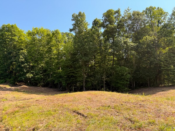 Tract 1 at Wolf Hill Estates property photo