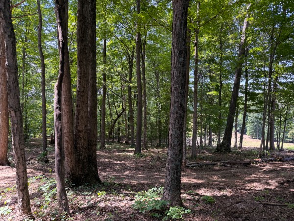 Tract 2 at Wolf Hill Estates property photo