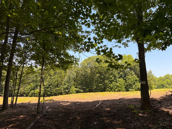 Tract 2 at Wolf Hill Estates property photo