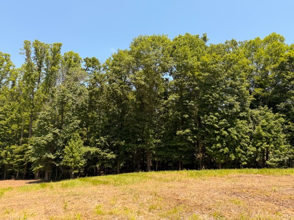 Tract 2 at Wolf Hill Estates property photo