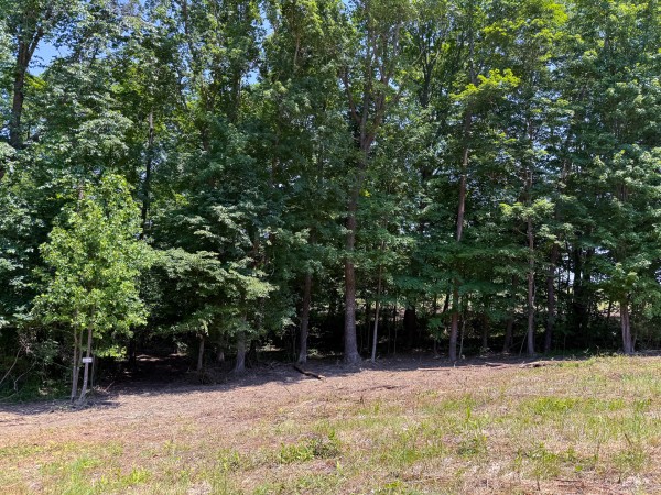 Tract 2 at Wolf Hill Estates property photo