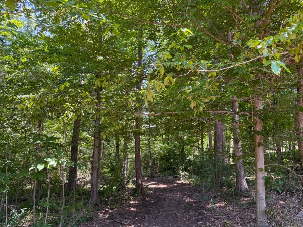 Tract 2 at Wolf Hill Estates property photo