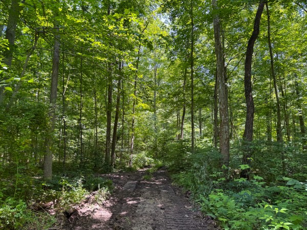 Tract 2 at Wolf Hill Estates property photo