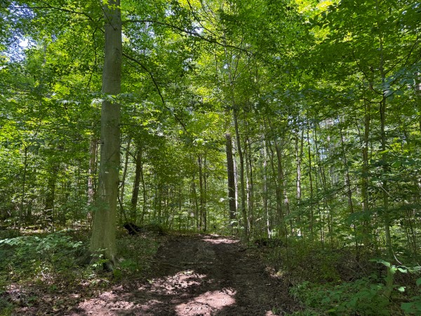 Tract 2 at Wolf Hill Estates property photo