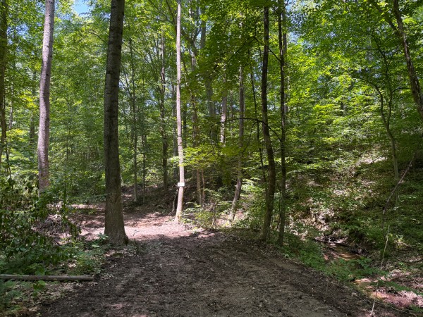 Tract 2 at Wolf Hill Estates property photo
