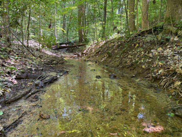 Tract 2 at Wolf Hill Estates property photo