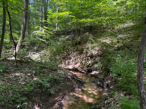 Tract 2 at Wolf Hill Estates property photo
