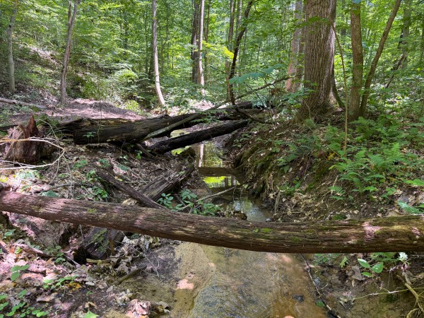 Tract 2 at Wolf Hill Estates property photo