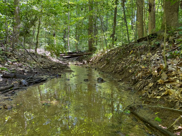 Tract 2 at Wolf Hill Estates property photo
