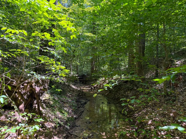 Tract 2 at Wolf Hill Estates property photo