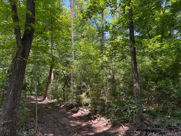 Tract 2 at Wolf Hill Estates property photo