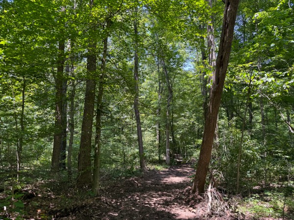 Tract 2 at Wolf Hill Estates property photo