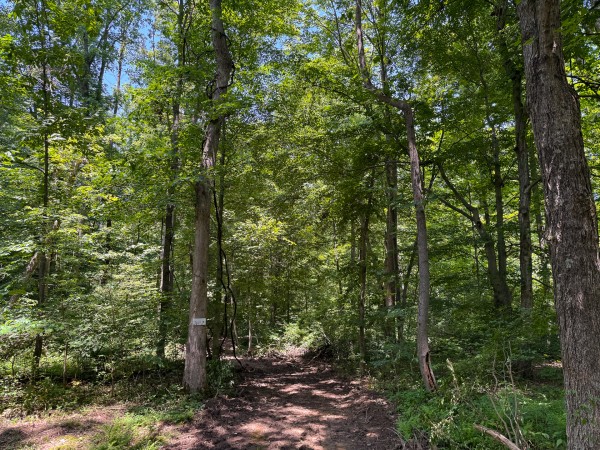 Tract 2 at Wolf Hill Estates property photo