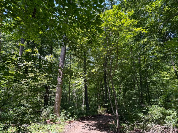 Tract 2 at Wolf Hill Estates property photo