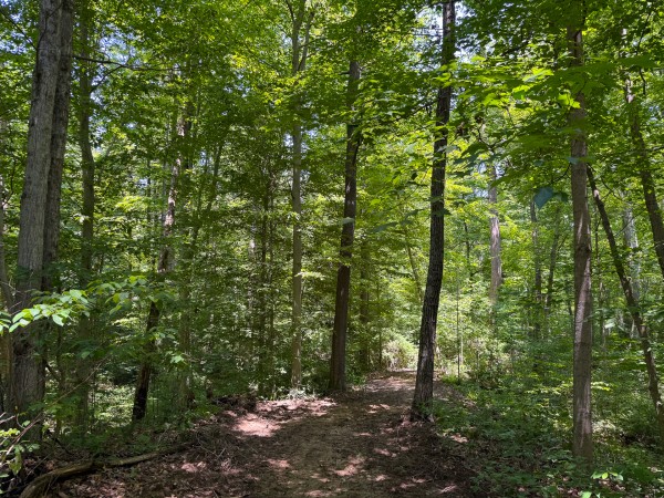 Tract 2 at Wolf Hill Estates property photo