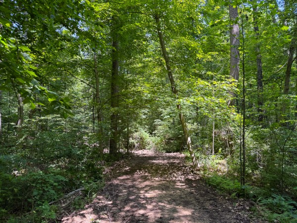 Tract 2 at Wolf Hill Estates property photo