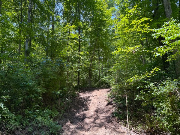 Tract 2 at Wolf Hill Estates property photo