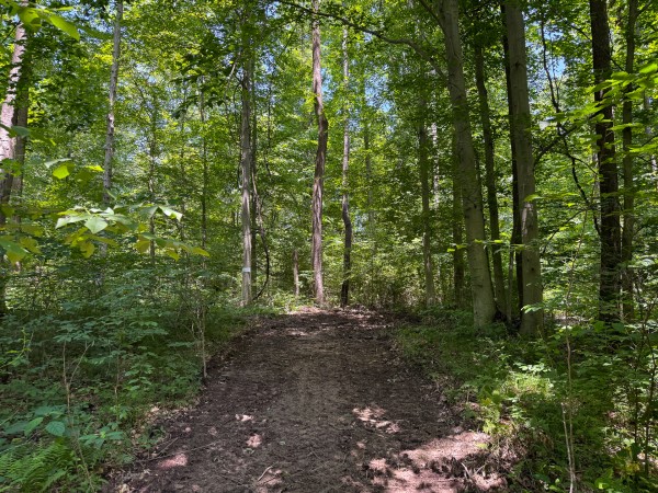 Tract 2 at Wolf Hill Estates property photo