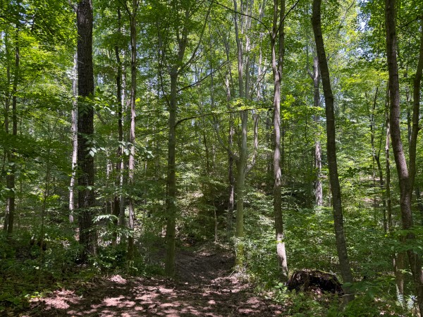 Tract 2 at Wolf Hill Estates property photo