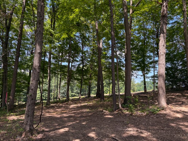 More of Tract 2 at Wolf Hill Estates