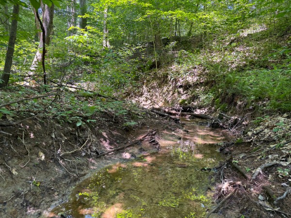 Tract 2 at Wolf Hill Estates property photo