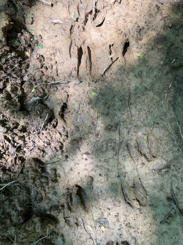 Tract 2 at Wolf Hill Estates property photo