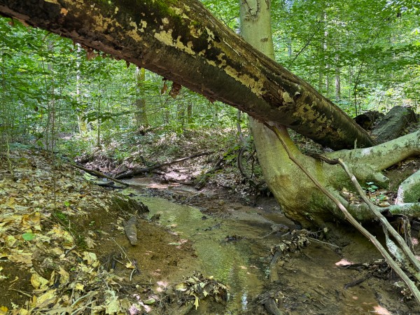 Tract 2 at Wolf Hill Estates property photo