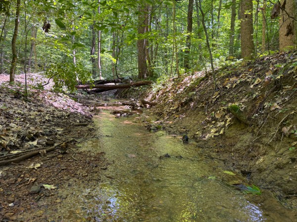 Tract 2 at Wolf Hill Estates property photo