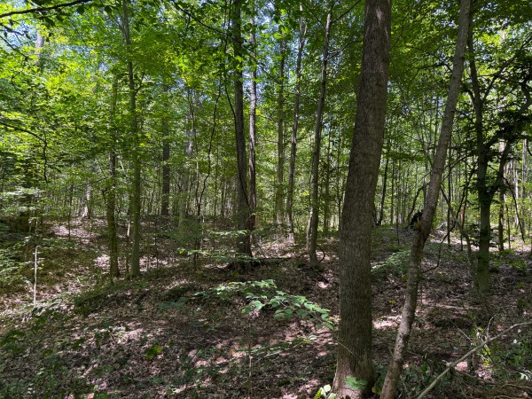 Tract 2 at Wolf Hill Estates property photo