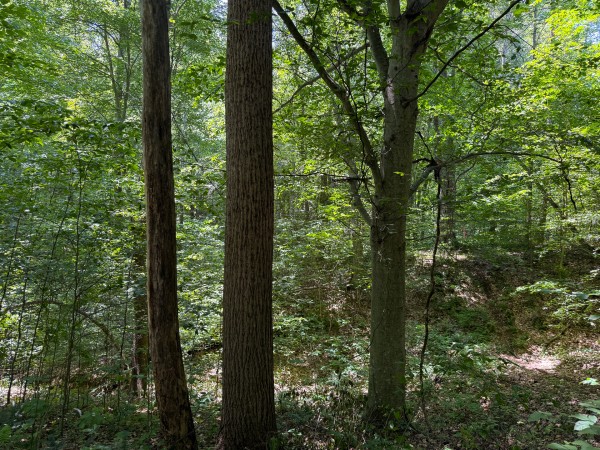 Tract 2 at Wolf Hill Estates property photo