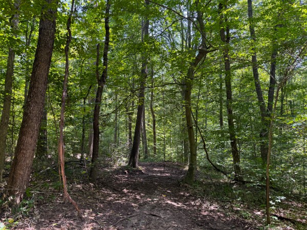 Tract 2 at Wolf Hill Estates property photo