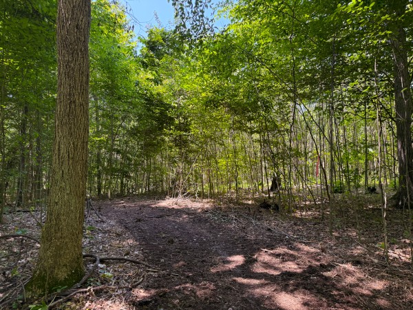 Tract 2 at Wolf Hill Estates property photo