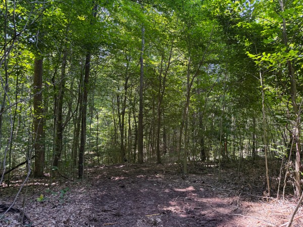 Tract 2 at Wolf Hill Estates property photo