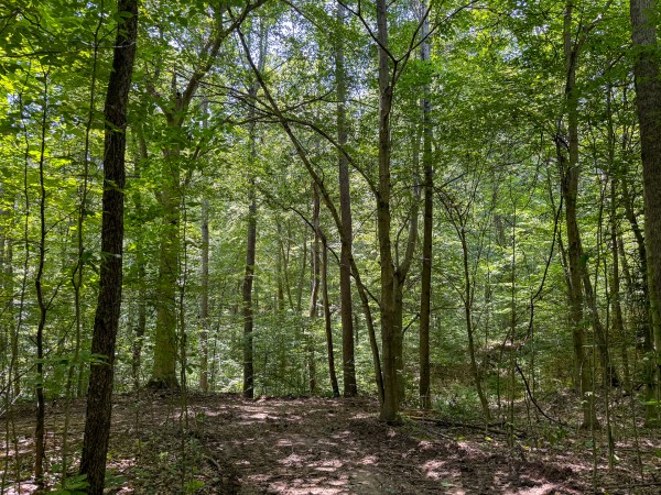 Tract 2 at Wolf Hill Estates property photo