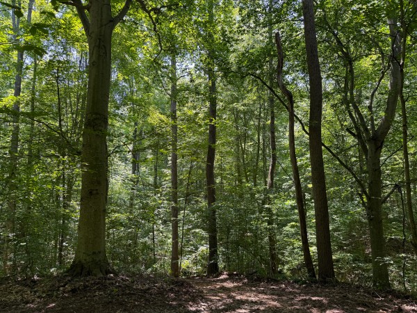 Tract 2 at Wolf Hill Estates property photo