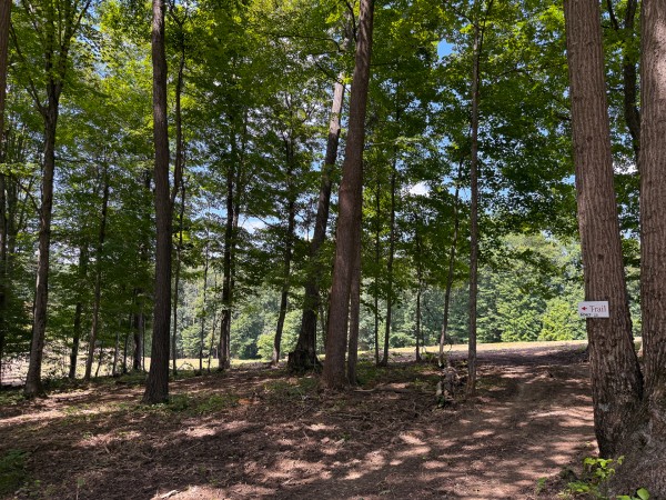 More of Tract 2 at Wolf Hill Estates
