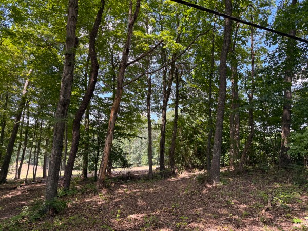 More of Tract 2 at Wolf Hill Estates