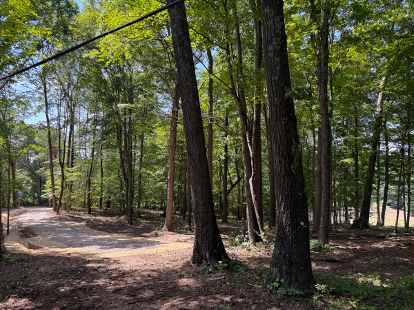 Tract 2 at Wolf Hill Estates property photo