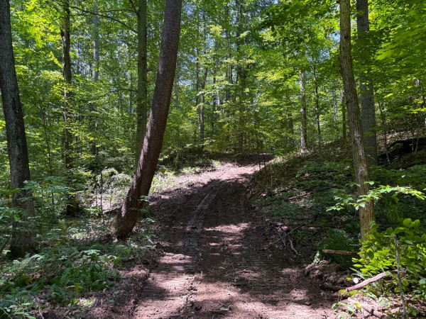 Tract 3 at Wolf Hill Estates property photo