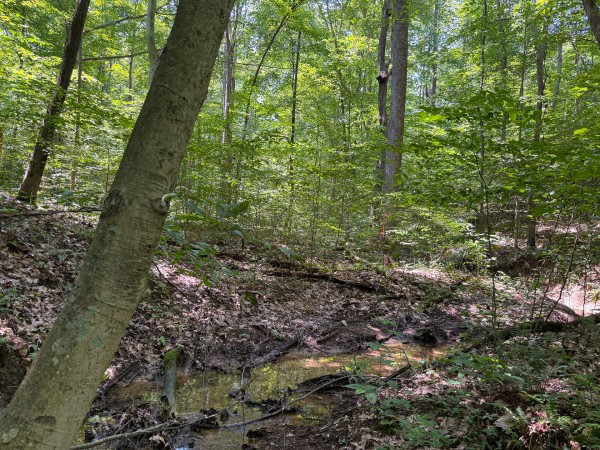 Tract 3 at Wolf Hill Estates property photo