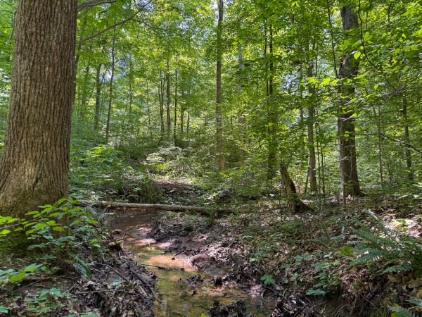 Tract 3 at Wolf Hill Estates property photo