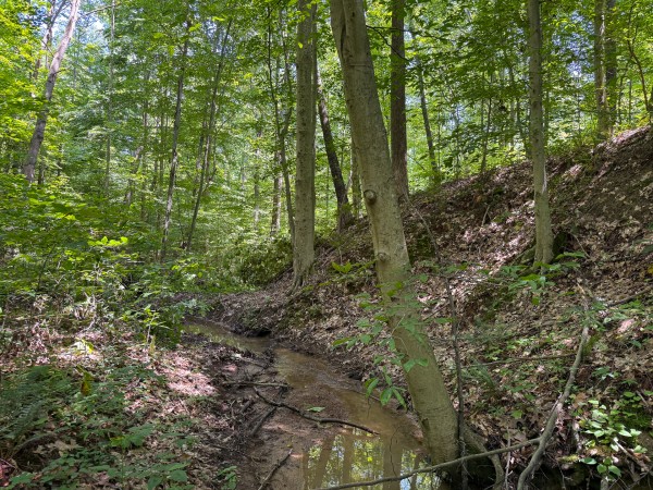 Tract 3 at Wolf Hill Estates property photo