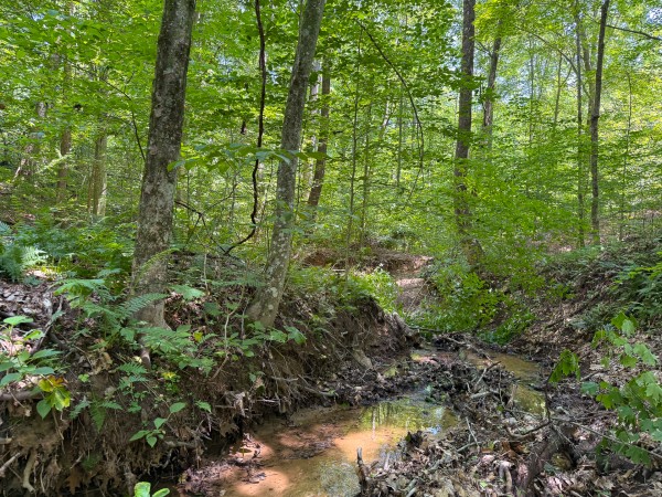Tract 3 at Wolf Hill Estates property photo