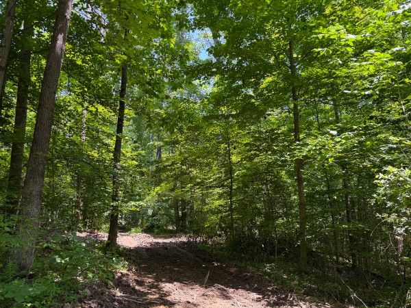 Tract 3 at Wolf Hill Estates property photo