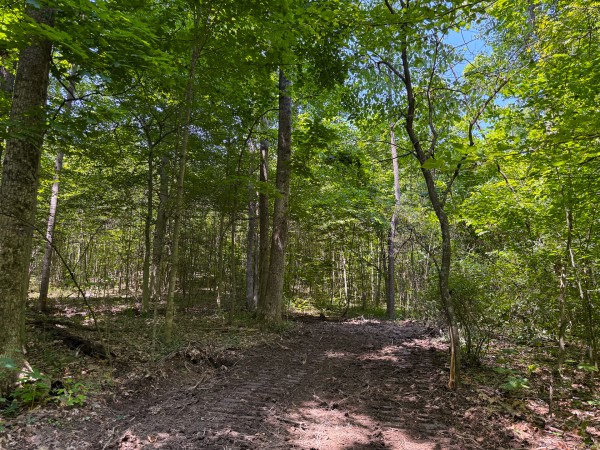 Tract 3 at Wolf Hill Estates property photo