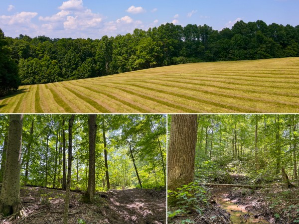 Tract 3 at Wolf Hill Estates