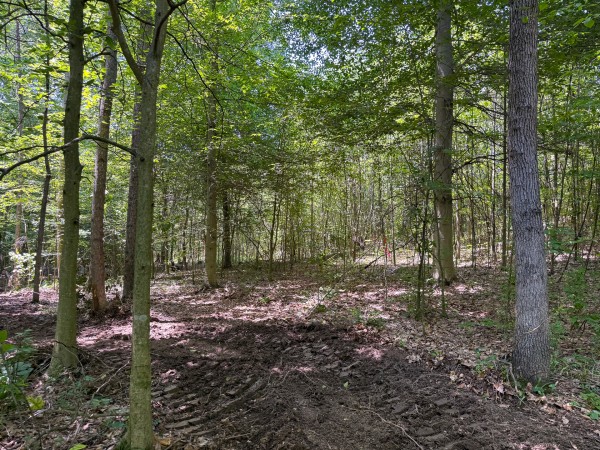 Tract 3 at Wolf Hill Estates property photo