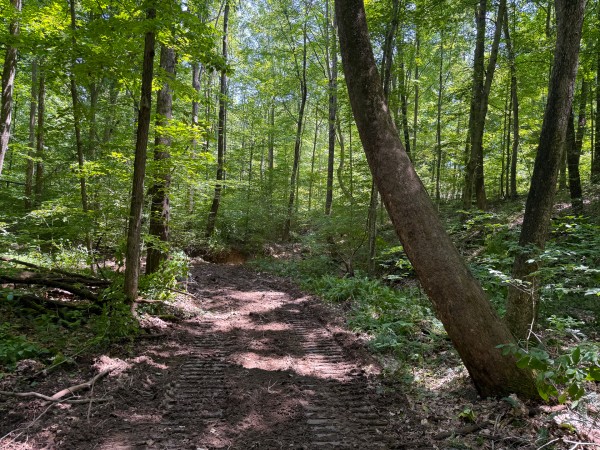 Tract 3 at Wolf Hill Estates property photo